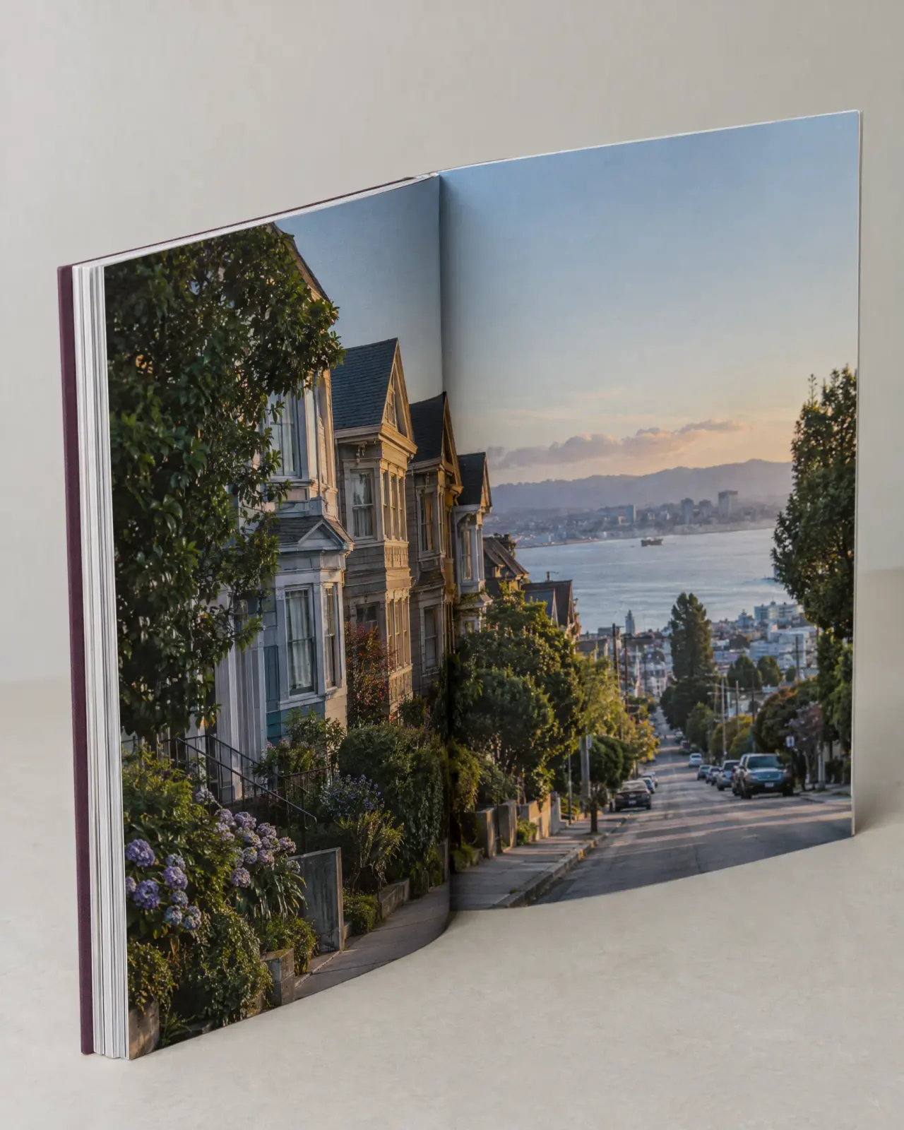 A photograph-led journal open to a quiet neighborhood street